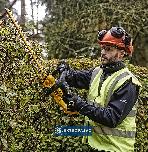 Nożyce do żywopłotu DeWalt DCMHT563N-XJ 55cm 18V XR bez akumulatora i ładowarki Nowość 3
